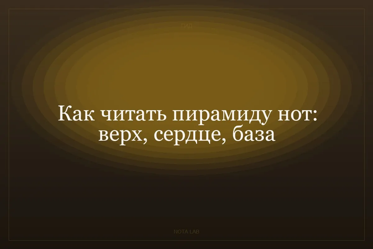 Как читать пирамиду нот: верх, сердце, база